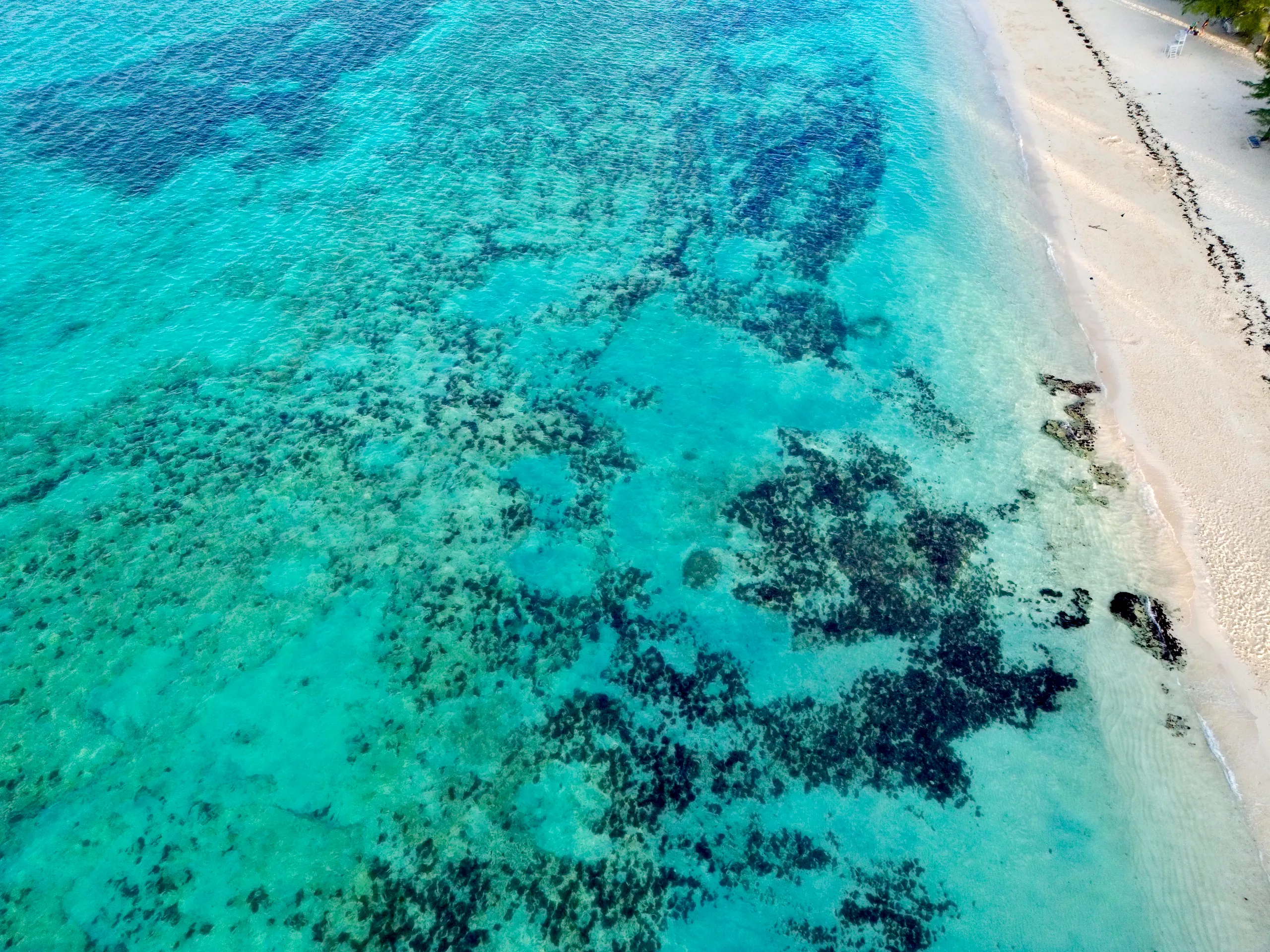 dji_fly_20260104_165826_60_1767569082515_photo Dji fly 20260104 165826 60 1767569082515 photo